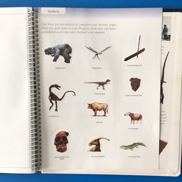 DK Eyewitness Books: Prehistoric Life - Picture 7 of 10